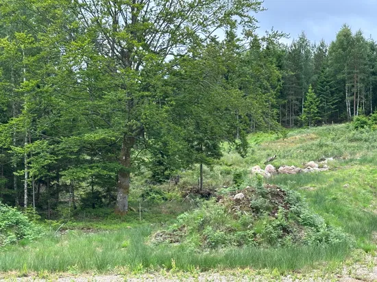 Tomt, Rymlig tomt där väg och stora delar av markarbetet står klart , Simmenäs, Alingsås