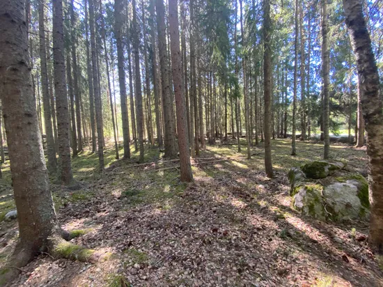 Tomt, Svensbäck 8, Järvsö, Svensbäck, Ljusdal