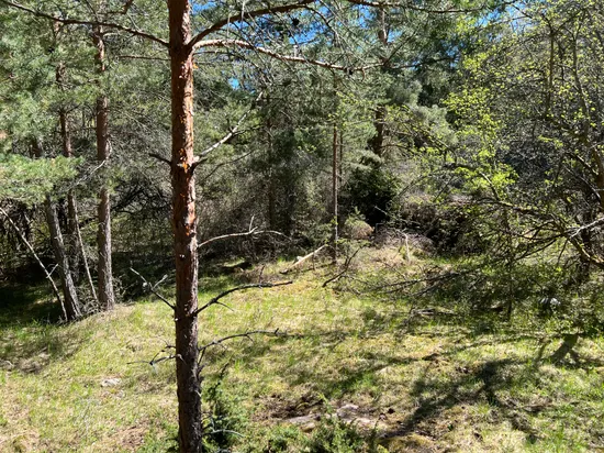 Tomt, Kungshatt Kungsborg 21, Kungshatt, Ekerö