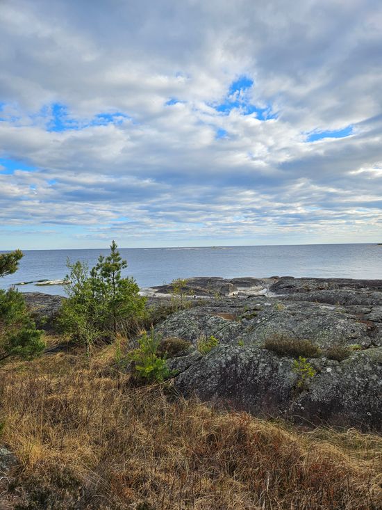 Gård/Skog, Hammarö östra takene 1:7, Bena, Hammarö