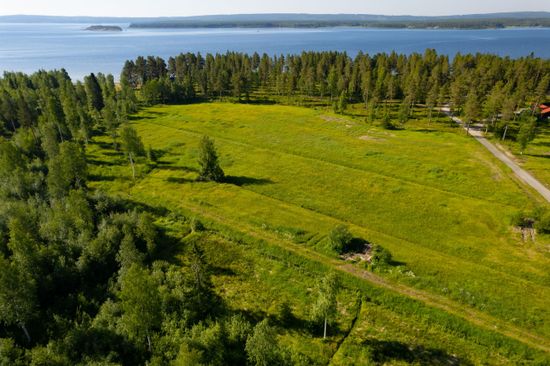 Tomt, Fantastisk tomt i populära Söderbodan!, Östanbäck, Skellefteå