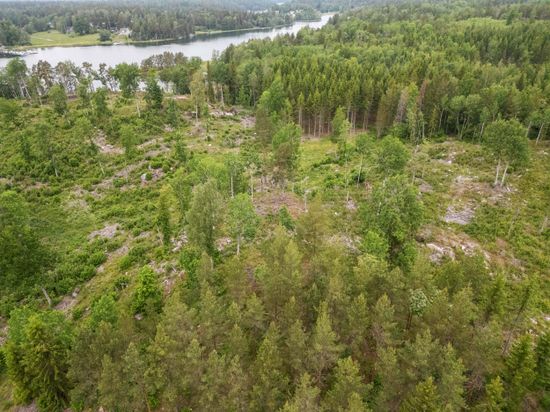 Tomt, Djupsjövägen 78, Lågarö, Norrtälje