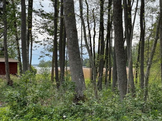 Tomt, Arholma södra byväg 46, Arholma, Norrtälje