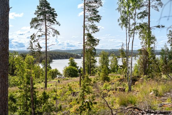 Tomt, Boxholm landsnäs 1:33, Malexander, Boxholm