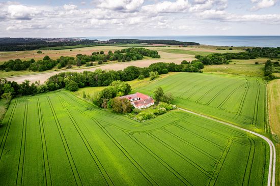Gård/Skog, Hjälmarödsvägen 20, Hjälmaröd, Simrishamn
