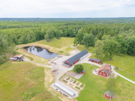 Gård/Skog, Norrtorpa Linnéaholm 1, Ljungby