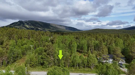 Tomt, Västmon 56, Härjedalen