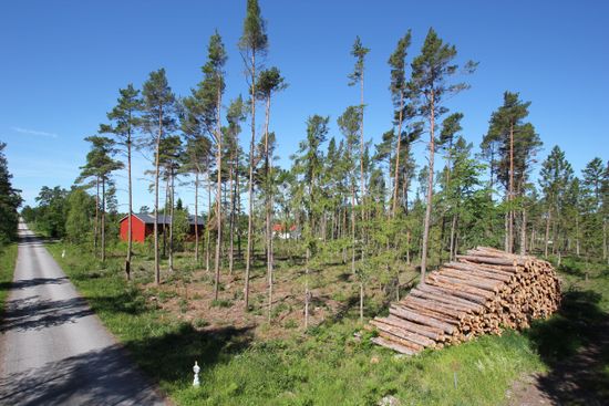 Tomt, Sanda Bjästavs 110, Tomt A, Sanda - Västra Gotland, Gotland