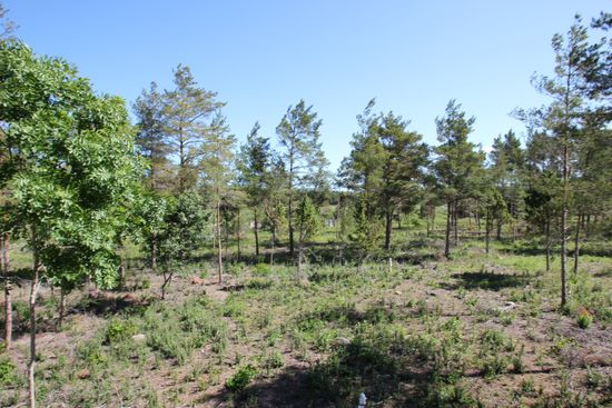 Tomt, Sanda Bjästavs 110, Tomt B, Sanda - Västra Gotland, Gotland