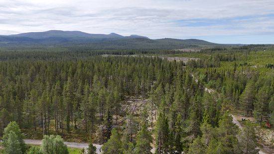 Tomt, Västvallen 131, Namnlös, Härjedalen