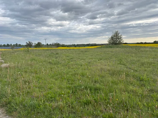 Tomt, Kallsjö 24, Skurup