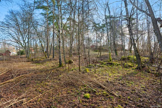 Tomt, Skreavägen 37C, Skrea, Falkenberg