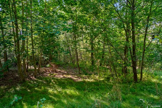 Tomt, Skreavägen 37C, Skrea, Falkenberg