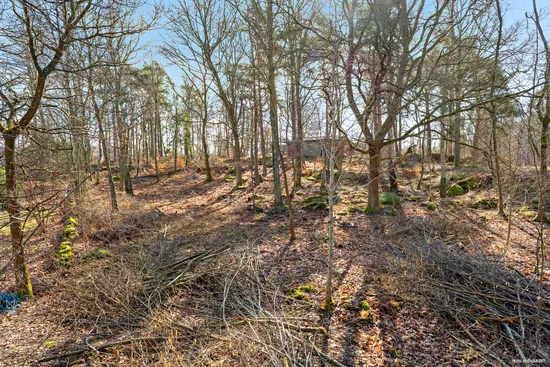 Tomt, Skreavägen 37B, Skrea, Falkenberg