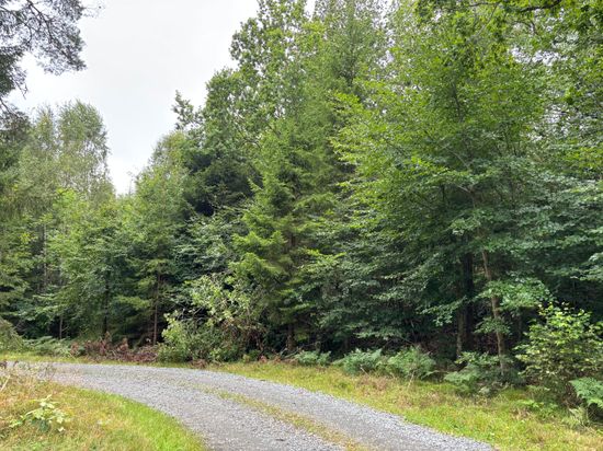 Tomt, Hjorttorp 3:22, Hajom, Mark