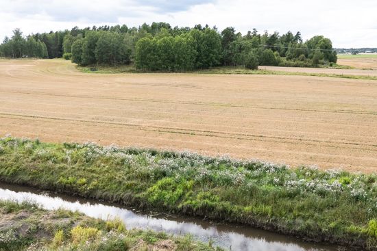 Gård/Skog, Ökna gård, Eskilstuna