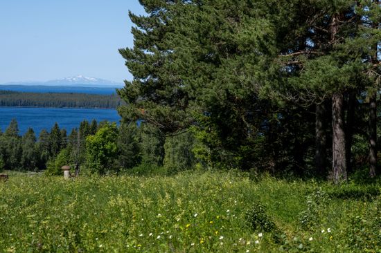 Tomt, Digernäs 520, Annersia, Östersund