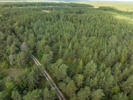 Tomt, Anga Boters 212C, Anga, Gotland