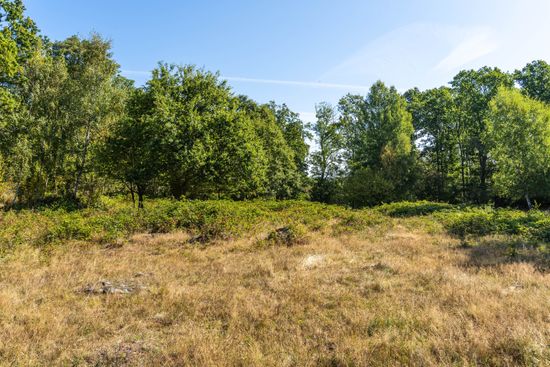 Gård/Skog, Bjärlöv 13:37, Kristianstad
