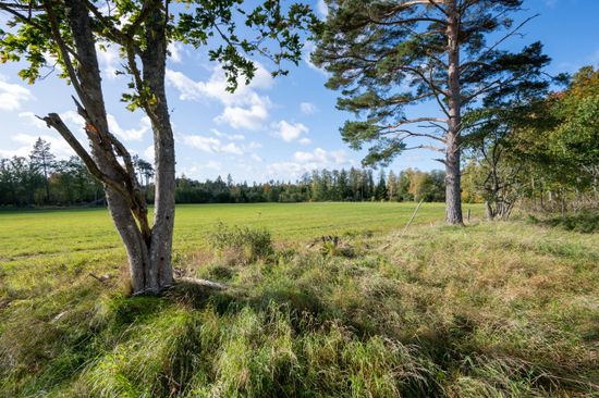 Tomt, Knubbelyckan Kolbyttemon 1:3, Kolbyttemon, Linköping