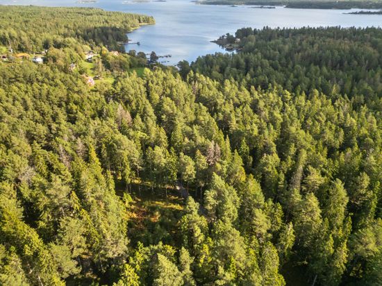 Tomt, Rumshamnsvägen 87, Björkö, Norrtälje