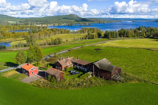 Gård/Skog, Löräng 1:39, Ljusdal
