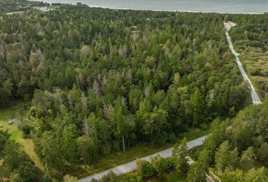 Gård/Skog, Skogsfastighet i tofta, Tofta, Gotland