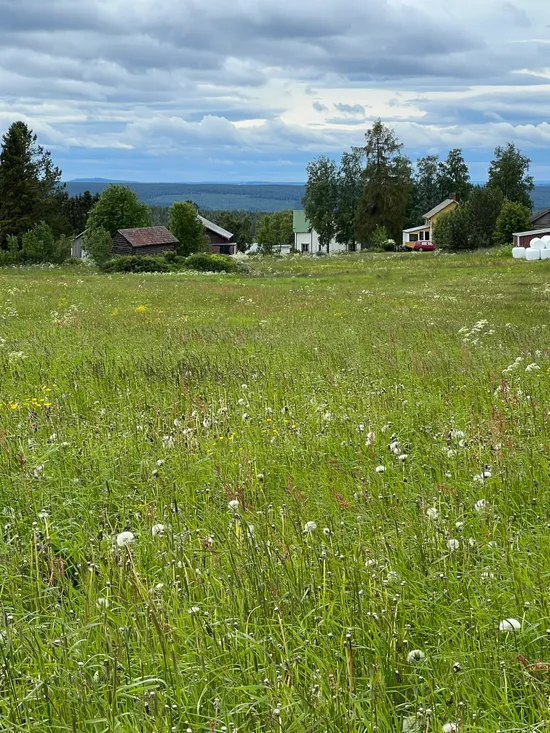 Gård/Skog, Norderåsen 625, Norderåsen, Östersund