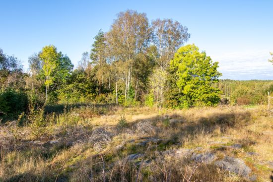 Tomt, Boberg 312, Karlstad