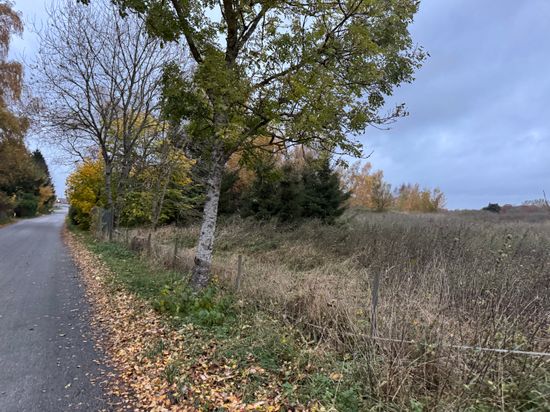 Gård/Skog, Rolsberga 415, Rolsberga, Höör