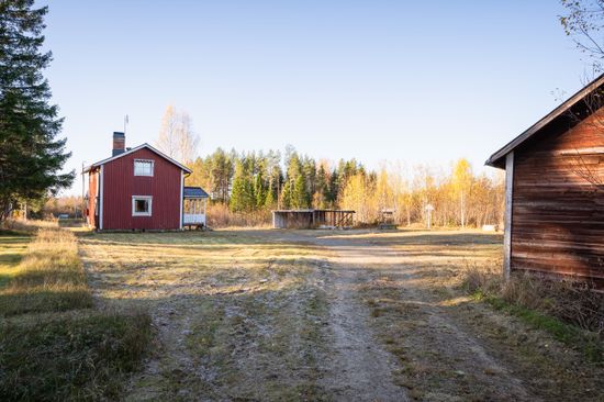 Gård/Skog, Burvik 132, Bureå, Skellefteå