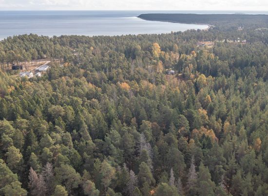 Gård/Skog, Gothem Tummungs 1:35, Gotland