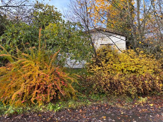 Tomt, Skogaholmsvägen 8, Marieberg, Örebro