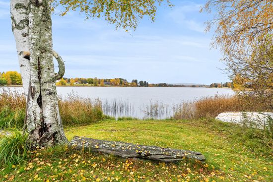 Gård/Skog, Västerede 305, Ånge