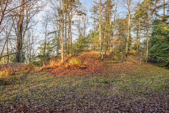 Tomt, Tomtevägen, Härryda