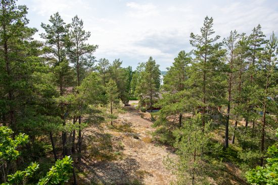 Tomt, Mästers runda 1, Loftahammar, Västervik