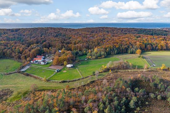 Gård/Skog, Steninge Rosenlund 222, Halmstad