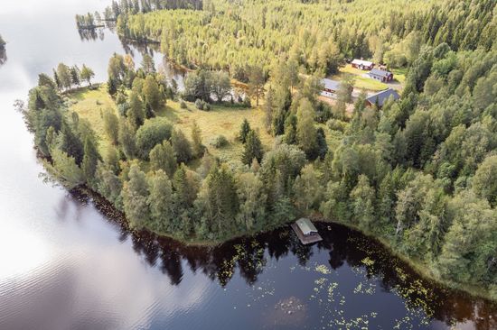 Gård/Skog, Nottjärnsvägen 18, Torsby
