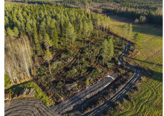 Tomt, Yttertavle, Yttertavle, Umeå