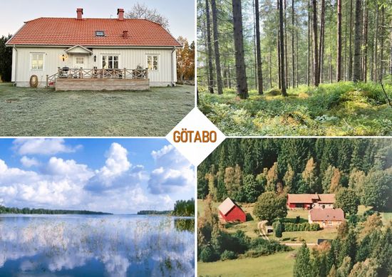 Gård/Skog, Odensjö-Hyltan 1, Småland, Ljungby