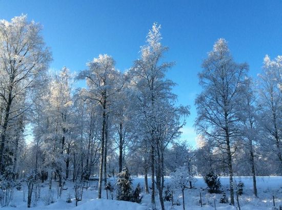 Tomt, Stångjärnsvägen 6, Noraån, Borlänge