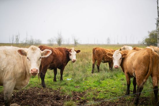 Bostadsrätt, Strandparksvägen 7A, Nyköping
