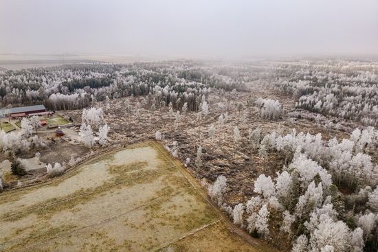 Tomt, Jung, Enköping