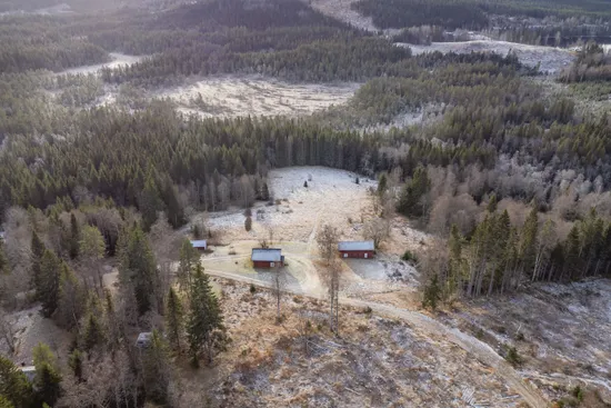 Gård/Skog, Arnsjön 67, Östmark med omnejd, Torsby