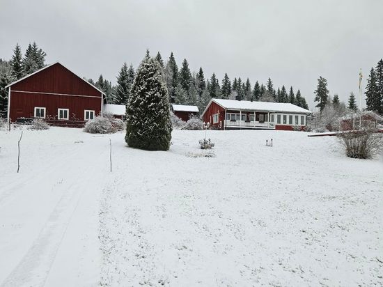 Gård/Skog, Huljen 216, Huljen, Sundsvall
