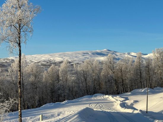 Tomt, Björnstigen 8, Syterskalet Hemavan , Storuman