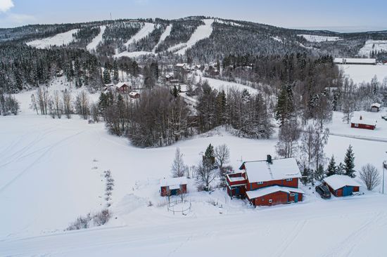 Villa, Agnäs 141, Bjurholm