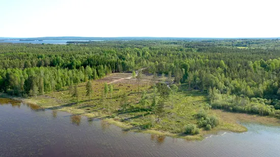 Tomt, Skålviksvägen, Tomt vid Siljan, Utanmyra/Sollerön, Mora