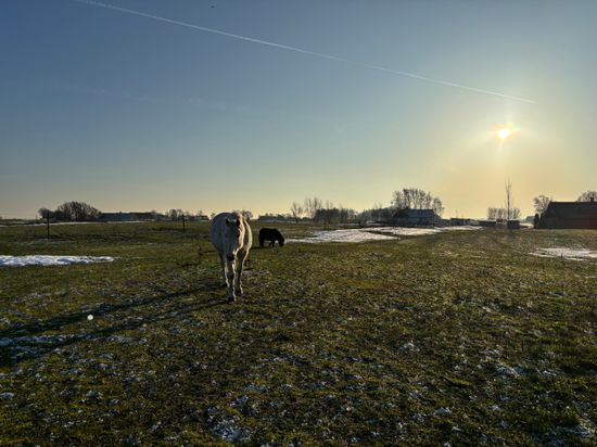 Villa, Gård/Skog, Slimminge, Skurup