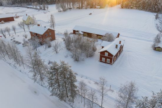 Gård/Skog, Ottonträsk 21, Vindeln